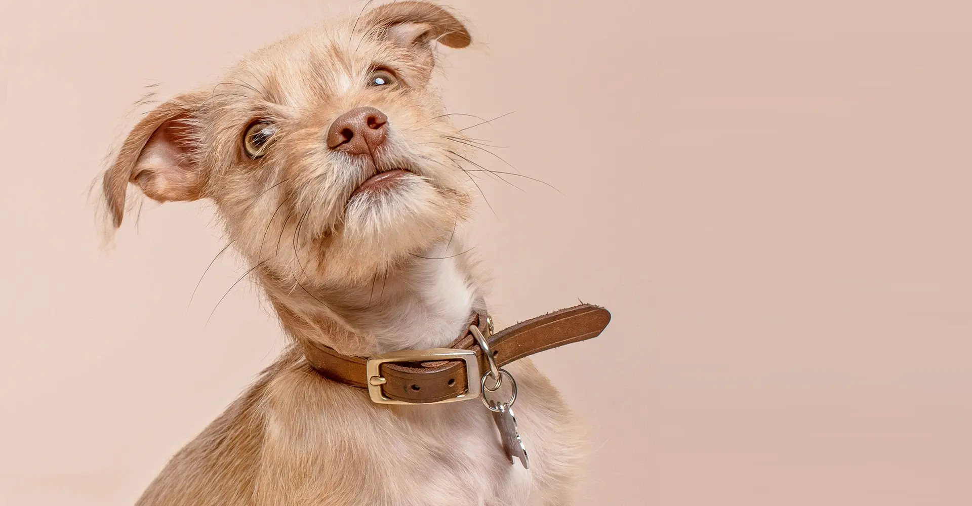 Gravity-Set-1-Banner-SM-3