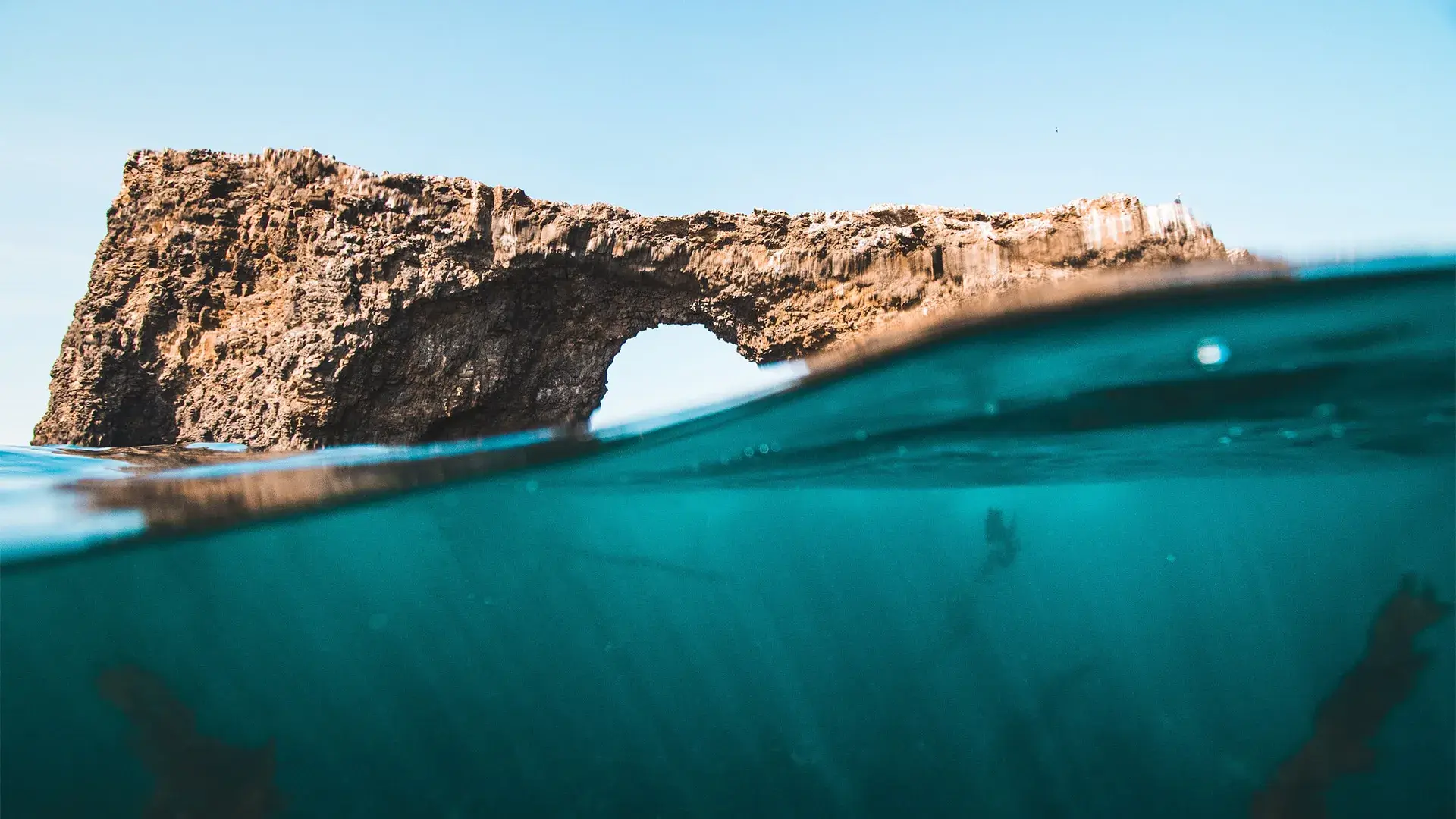 example-demo-banner-bg-2